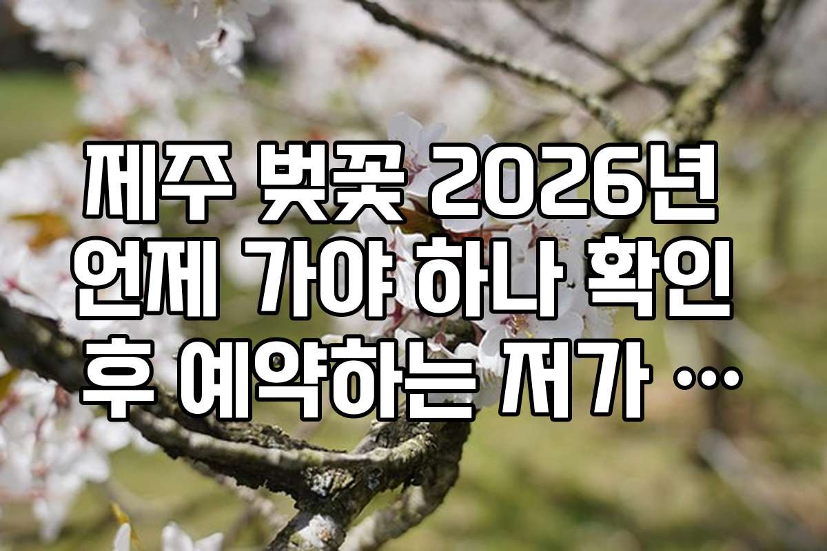 제주 벚꽃 2026년 언제 가야 하나 확인 후 예약하는 저가 항공권