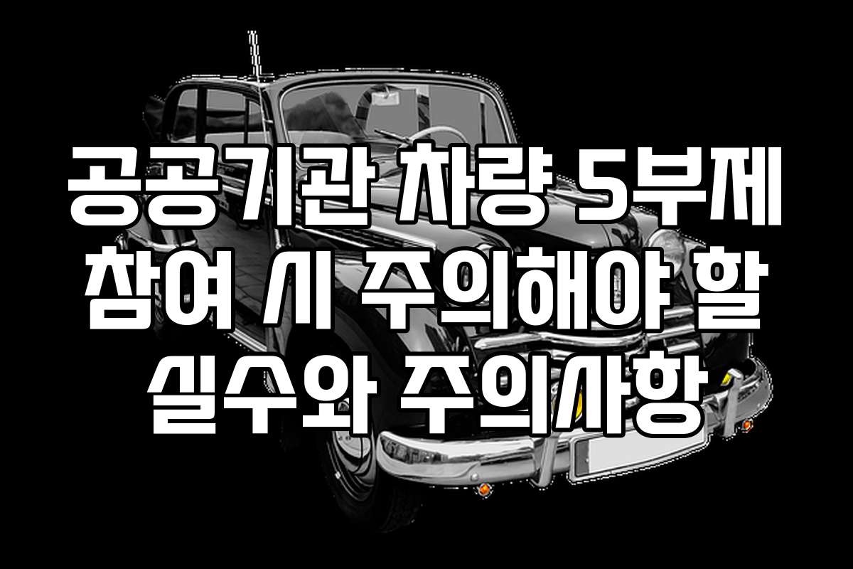공공기관 차량 5부제 참여 시 주의해야 할 실수와 주의사항