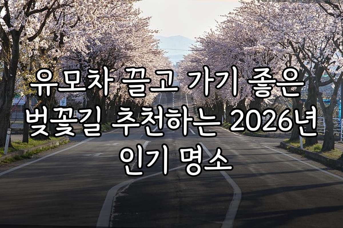 유모차 끌고 가기 좋은 벚꽃길 추천하는 2026년 인기 명소
