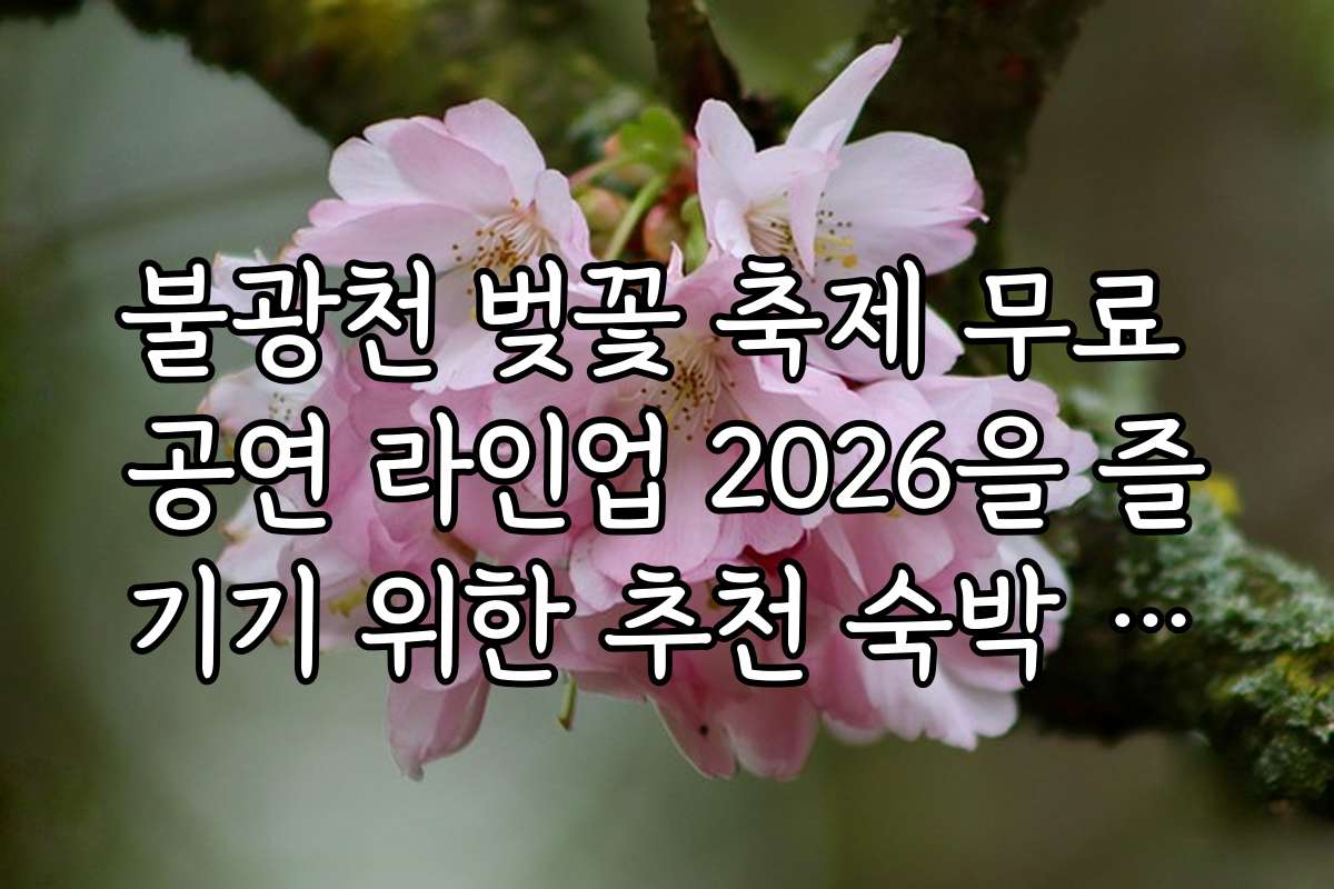 불광천 벚꽃 축제 무료 공연 라인업 2026을 즐기기 위한 추천 숙박 시설과 주변 명소