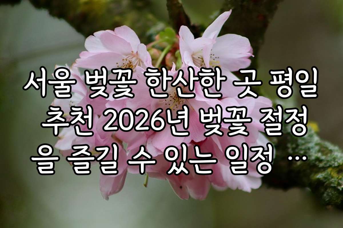 서울 벚꽃 한산한 곳 평일 추천 2026년 벚꽃 절정을 즐길 수 있는 일정 추천