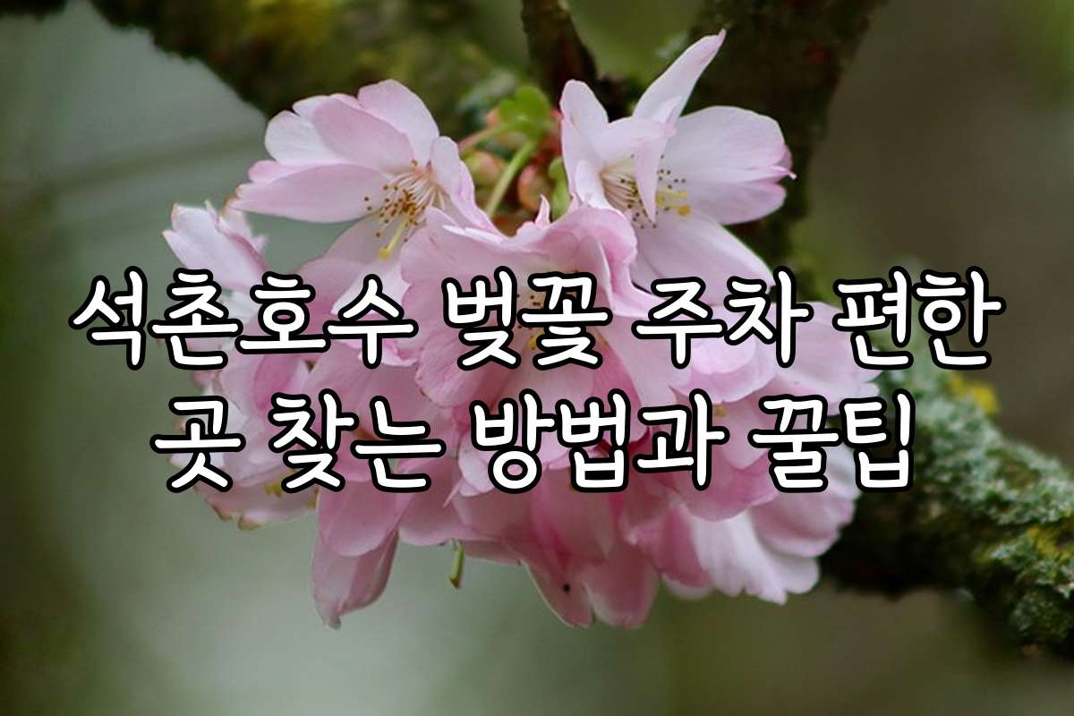 석촌호수 벚꽃 주차 편한곳 찾는 방법과 꿀팁