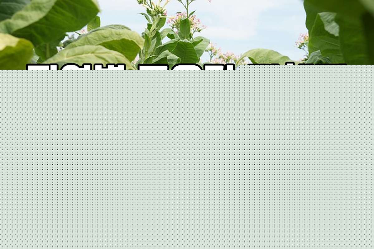 지역별 고유가 피해지원금 차등 정책으로 인한 지원금 차이 사례 공유