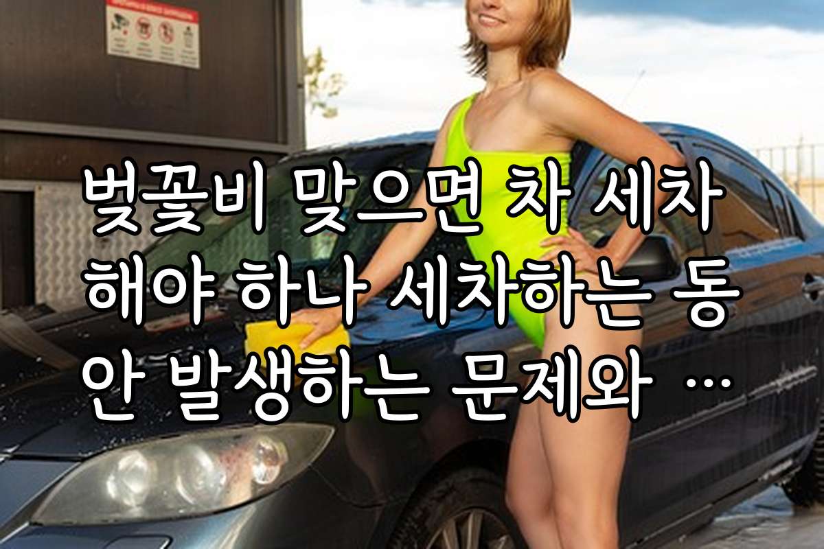 벚꽃비 맞으면 차 세차 해야 하나 세차하는 동안 발생하는 문제와 해결법