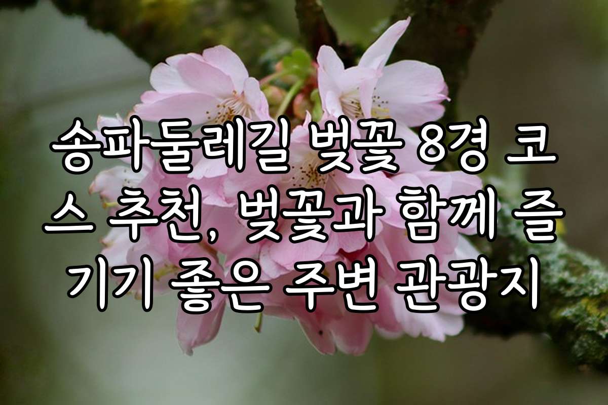 송파둘레길 벚꽃 8경 코스 추천, 벚꽃과 함께 즐기기 좋은 주변 관광지