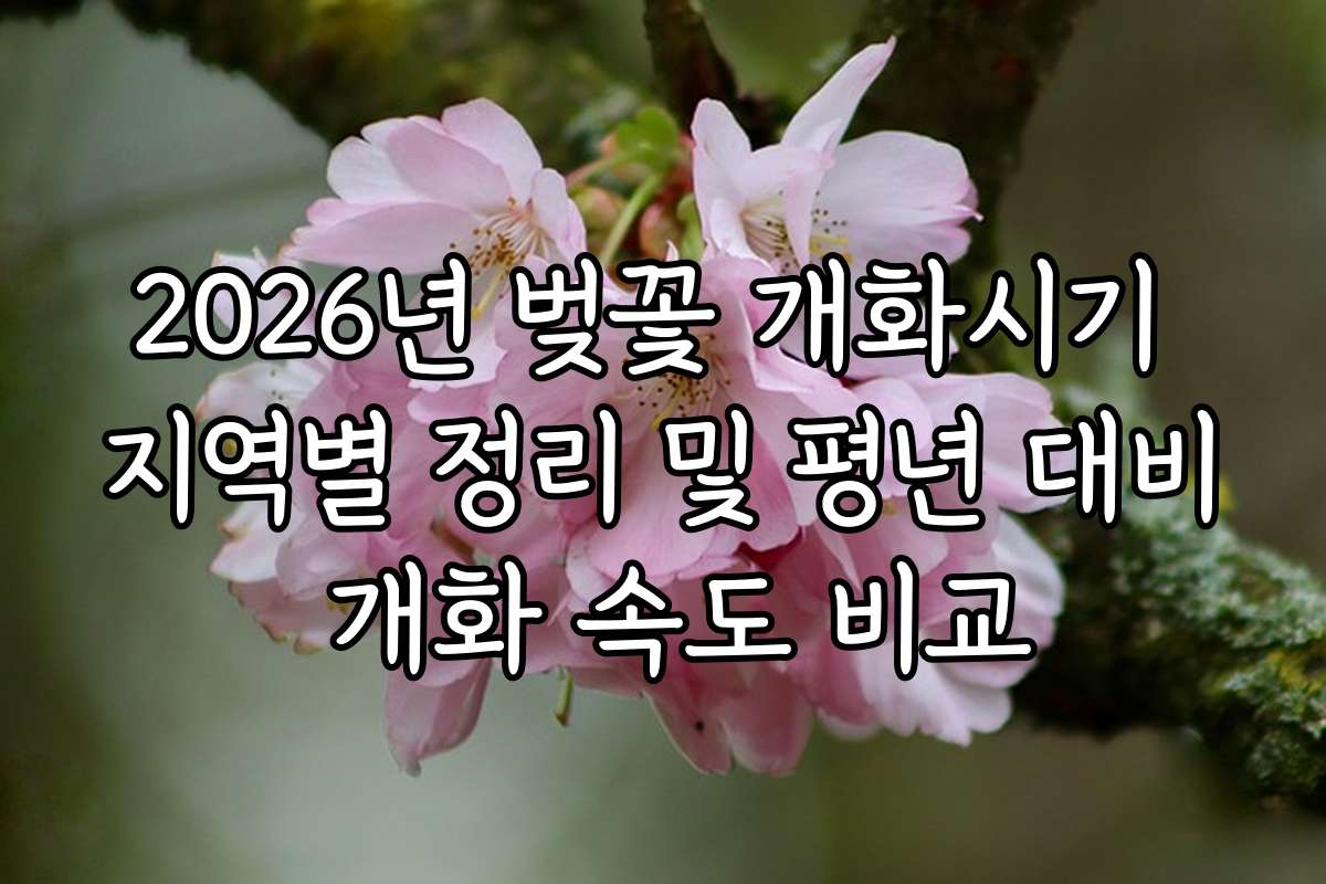2026년 벚꽃 개화시기 지역별 정리 및 평년 대비 개화 속도 비교