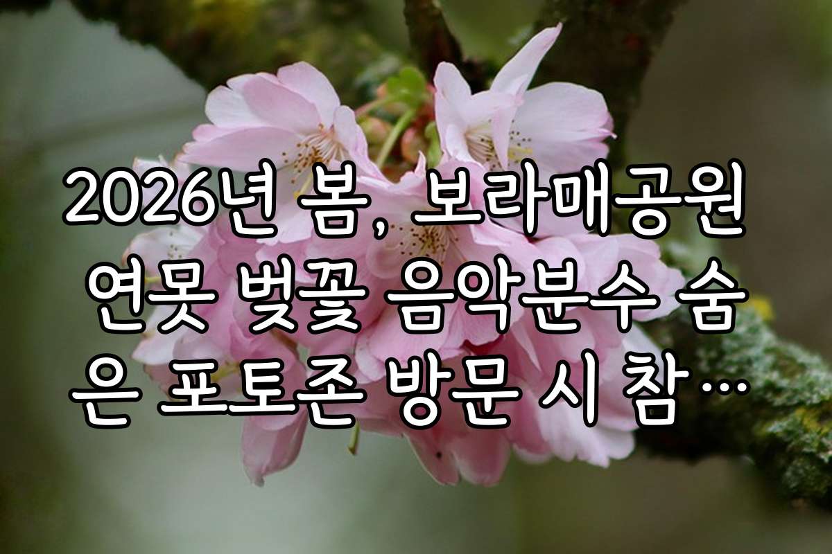 2026년 봄, 보라매공원 연못 벚꽃 음악분수 숨은 포토존 방문 시 참고할 최신 안전 수칙과 주의사항