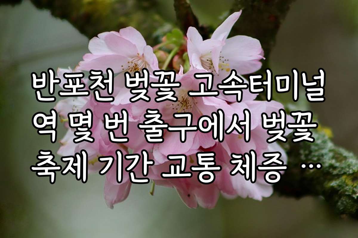 반포천 벚꽃 고속터미널역 몇 번 출구에서 벚꽃 축제 기간 교통 체증 피하는 노하우