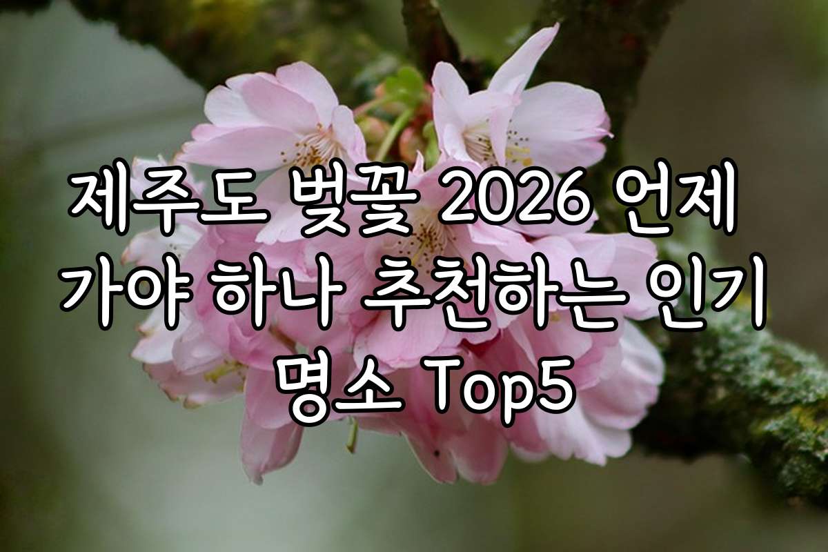제주도 벚꽃 2026 언제 가야 하나 추천하는 인기 명소 Top5