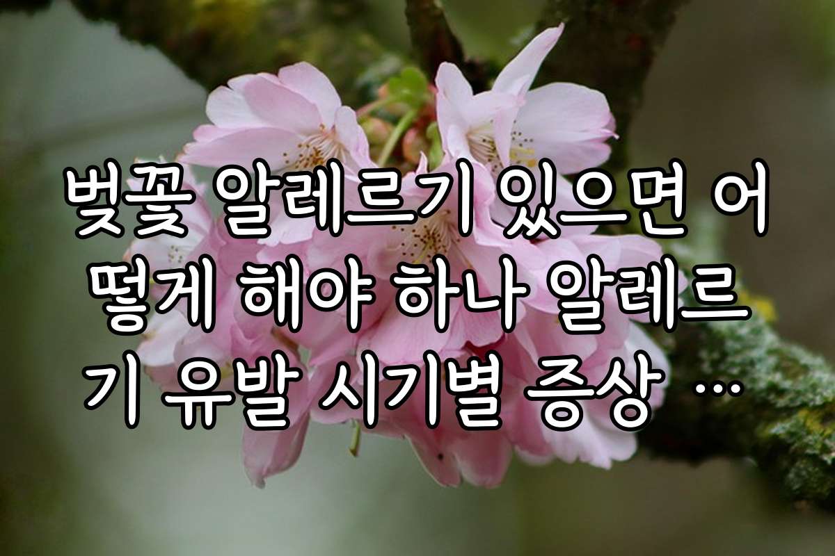 벚꽃 알레르기 있으면 어떻게 해야 하나 알레르기 유발 시기별 증상 차이와 대처법