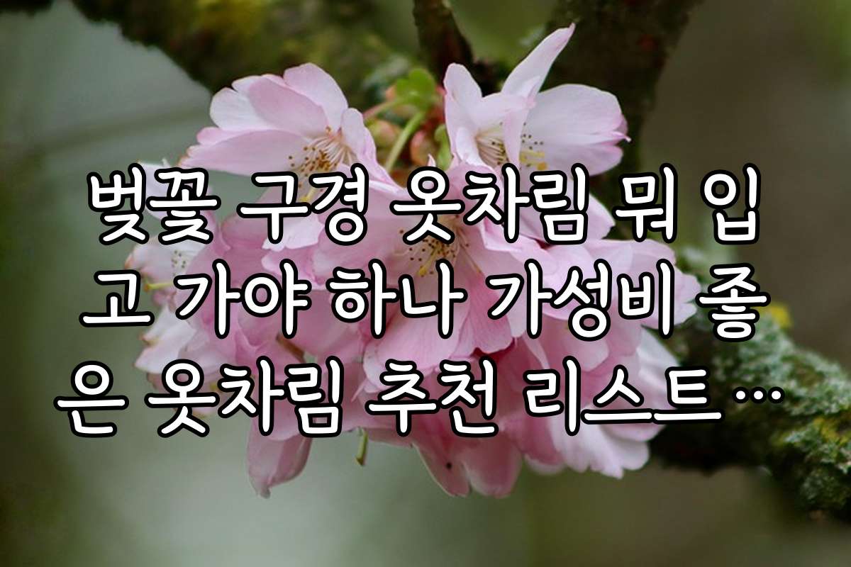 벚꽃 구경 옷차림 뭐 입고 가야 하나 가성비 좋은 옷차림 추천 리스트 공개