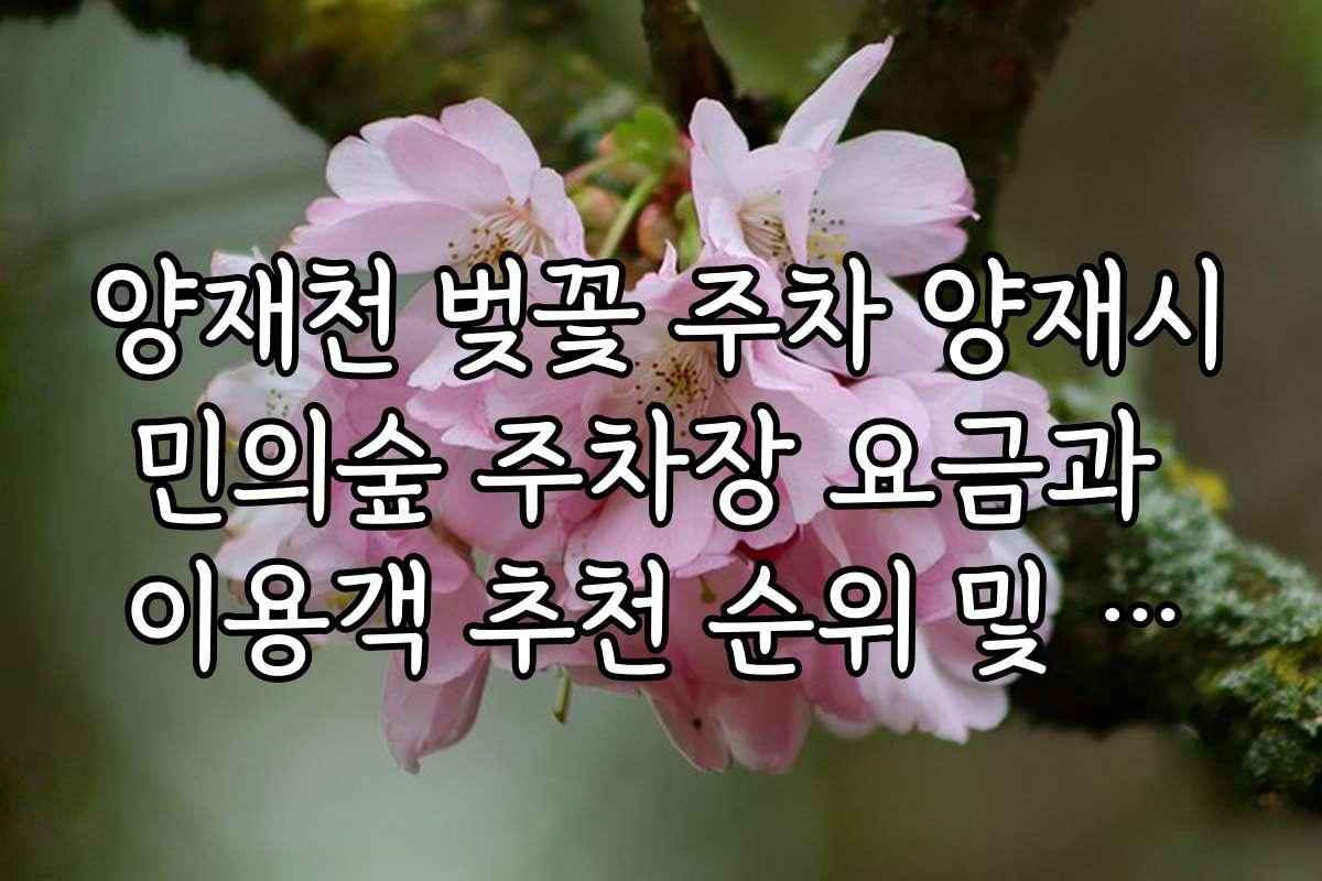 양재천 벚꽃 주차 양재시민의숲 주차장 요금과 이용객 추천 순위 및 평가