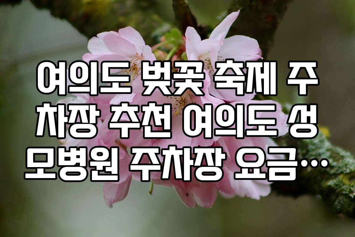 여의도 벚꽃 축제 주차장 추천 여의도 성모병원 주차장 요금 안내