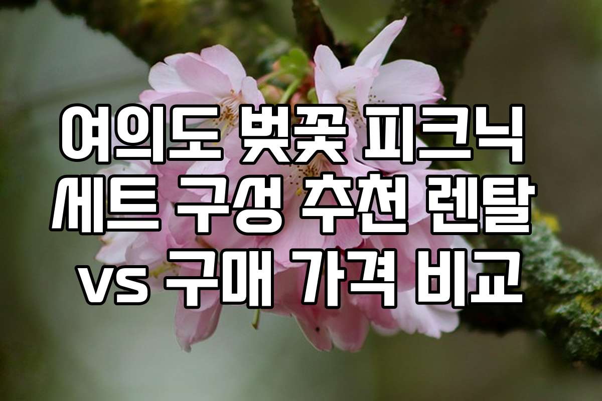 여의도 벚꽃 피크닉 세트 구성 추천 렌탈 vs 구매 가격 비교