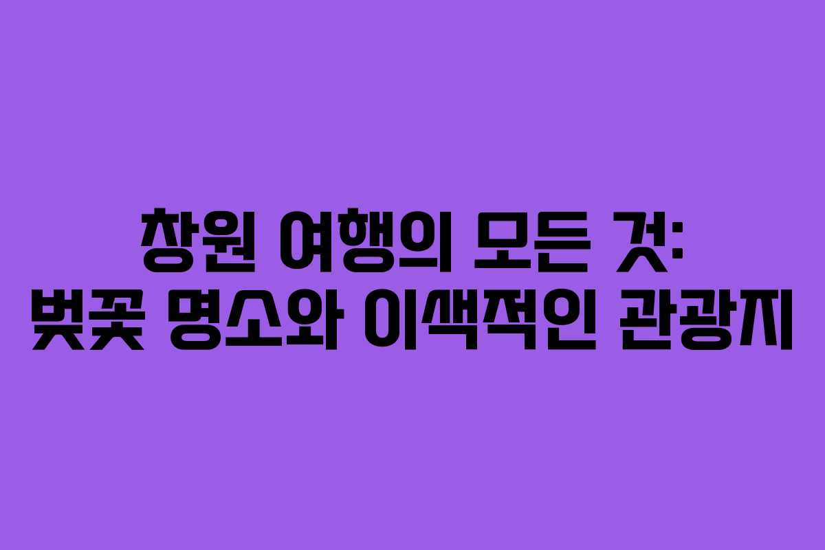 창원 여행의 모든 것: 벚꽃 명소와 이색적인 관광지