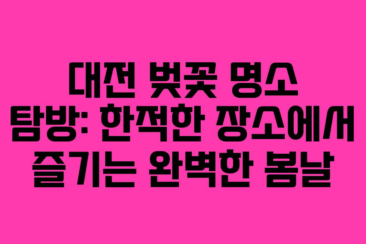 대전 벚꽃 명소 탐방: 한적한 장소에서 즐기는 완벽한 봄날