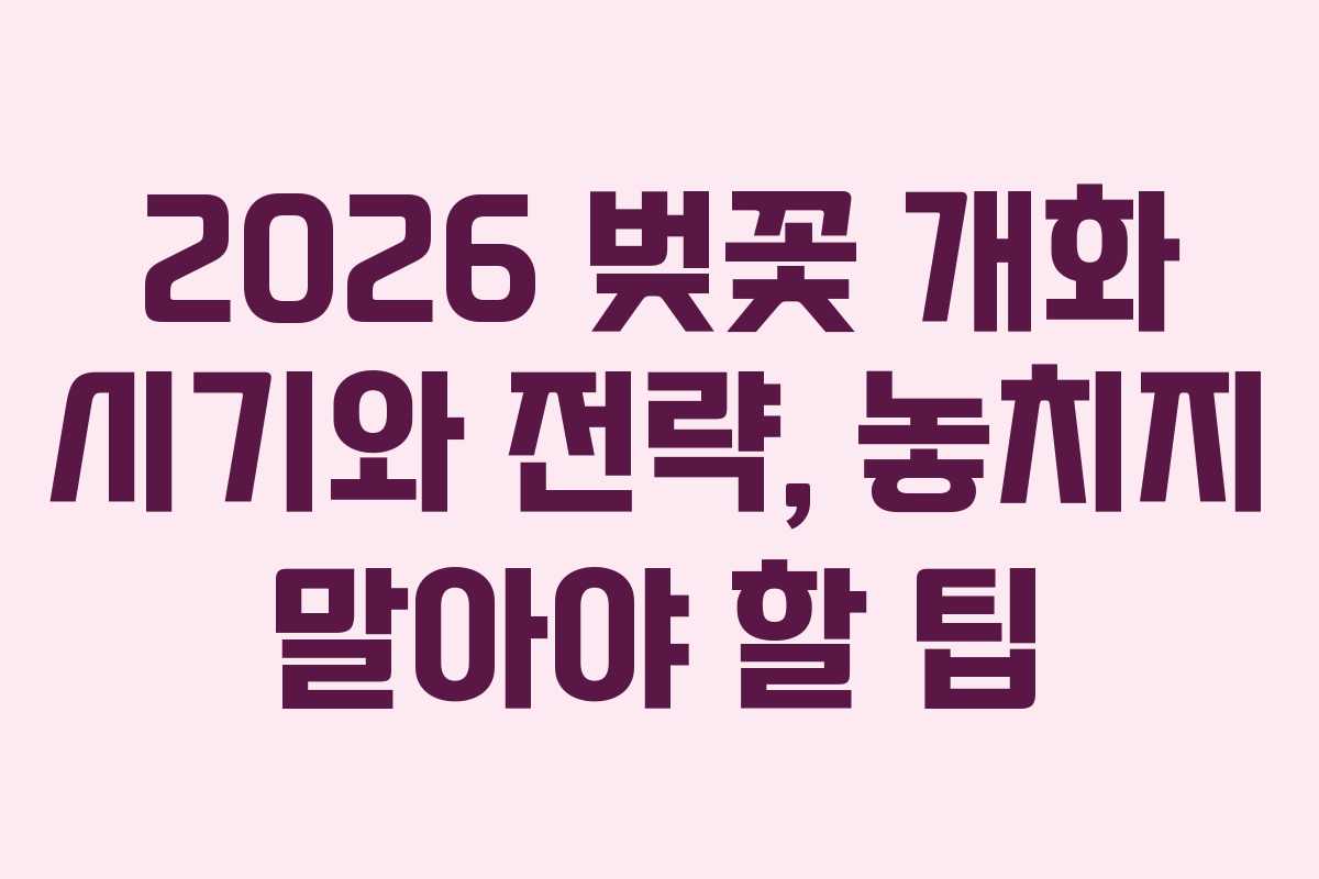 2026 벚꽃 개화 시기와 전략, 놓치지 말아야 할 팁