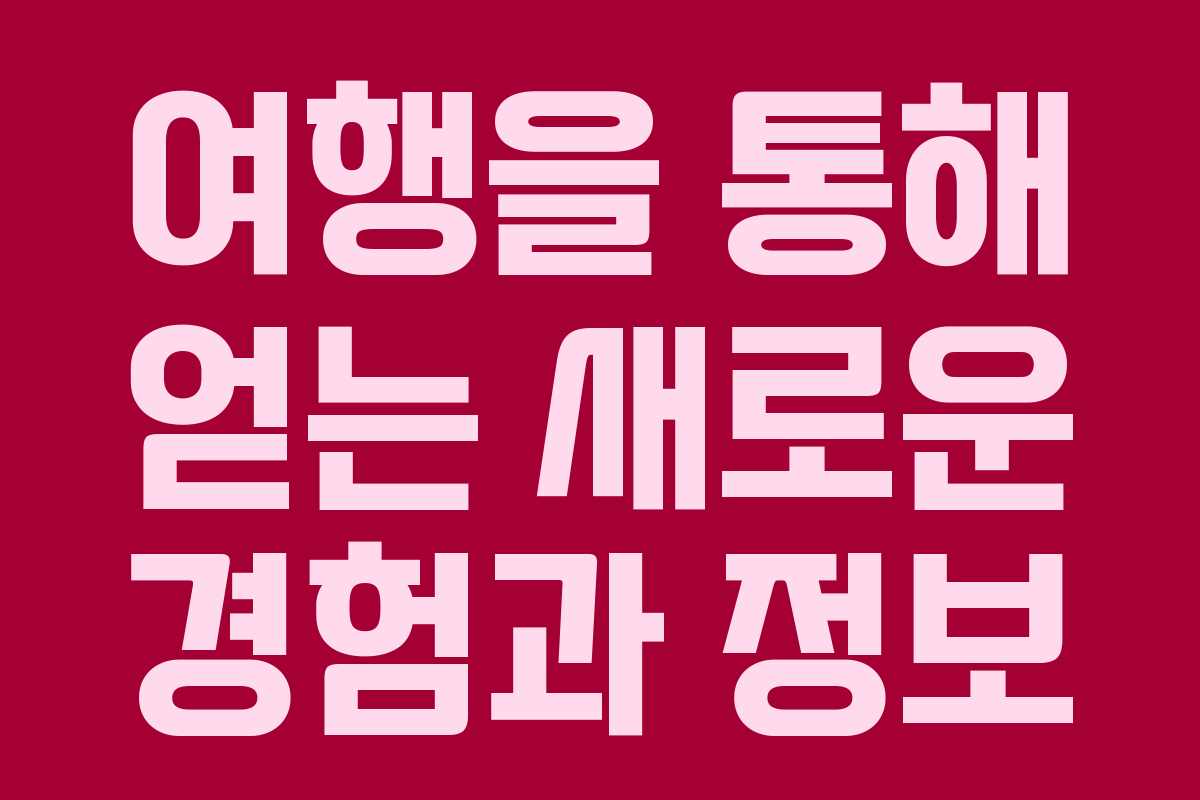 여행을 통해 얻는 새로운 경험과 정보