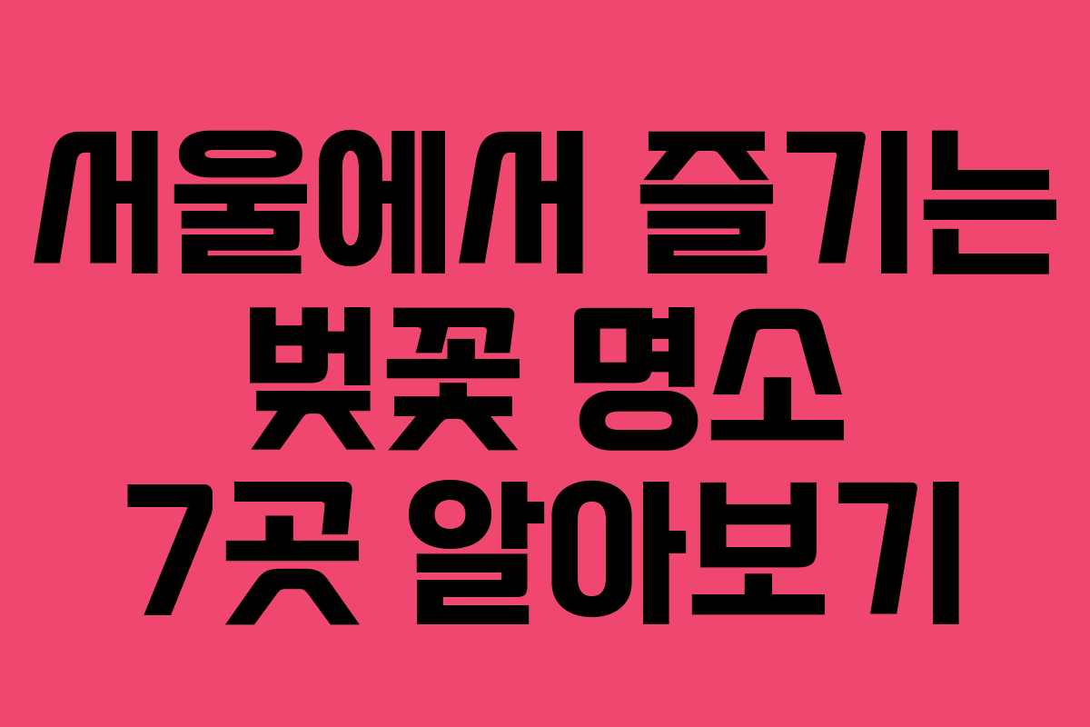 서울에서 즐기는 벚꽃 명소 7곳 알아보기