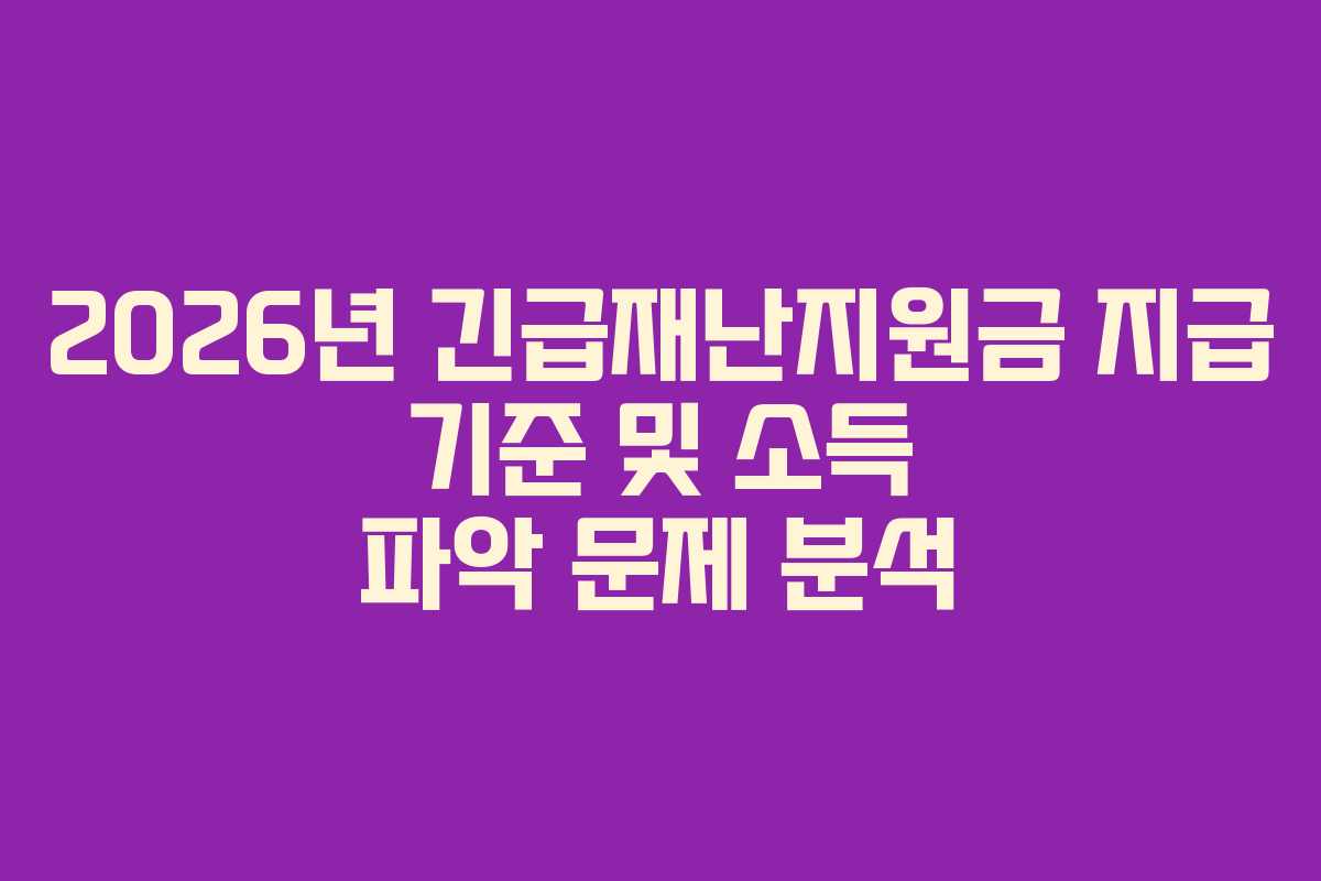 2026년 긴급재난지원금 지급 기준 및 소득 파악 문제 분석