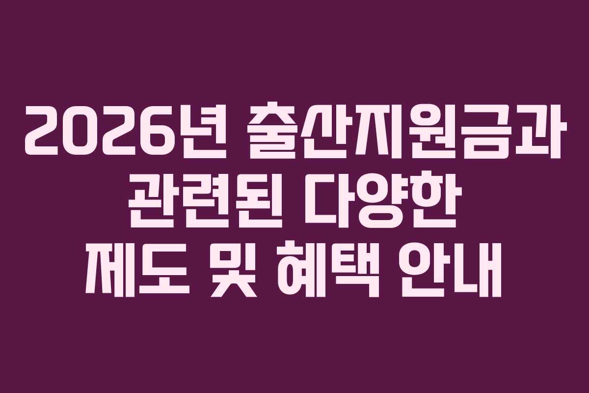 2026년 출산지원금과 관련된 다양한 제도 및 혜택 안내