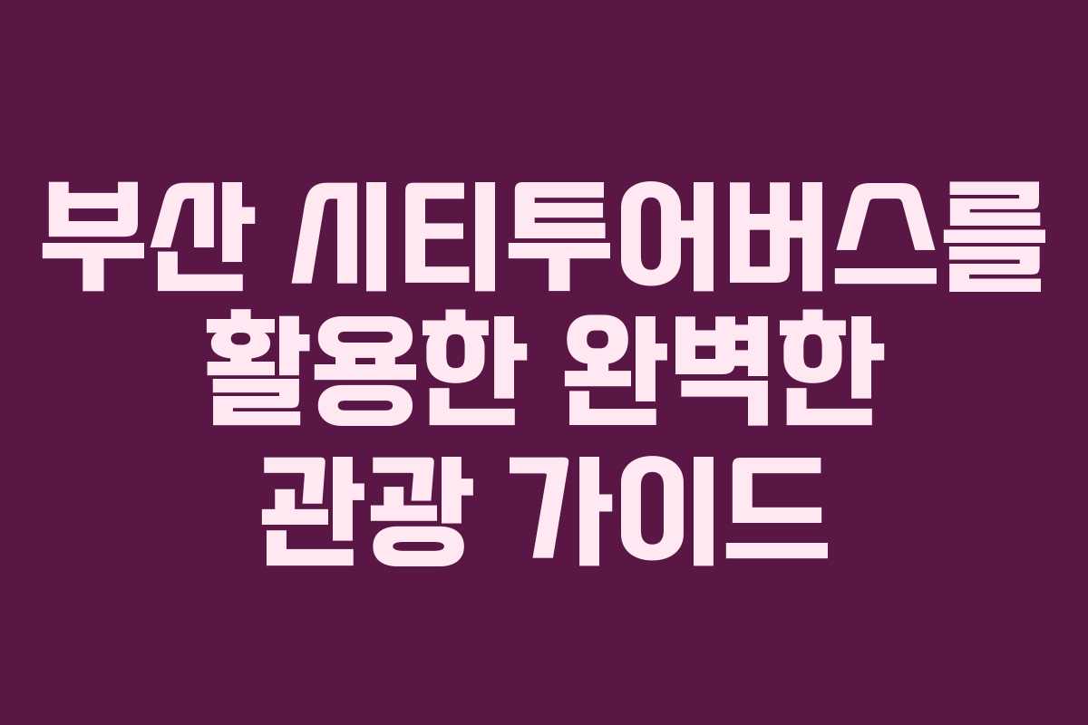 부산 시티투어버스를 활용한 완벽한 관광 가이드