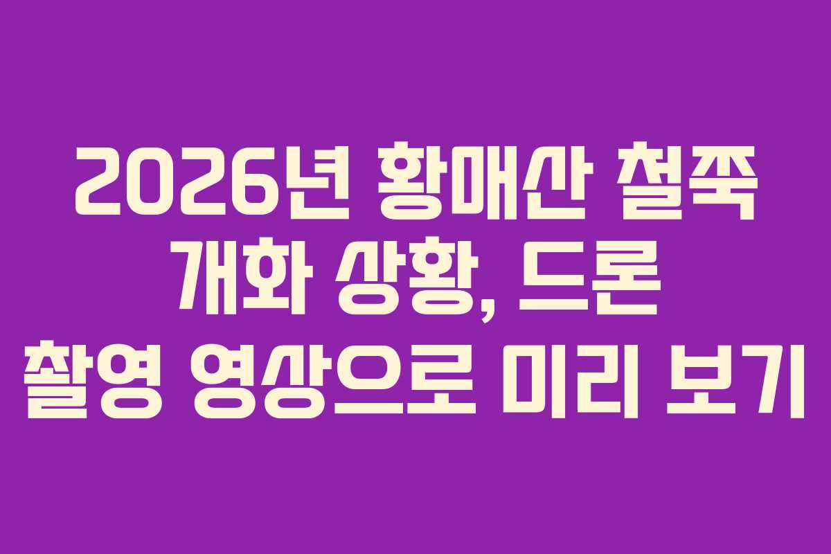 2026년 황매산 철쭉 개화 상황, 드론 촬영 영상으로 미리 보기