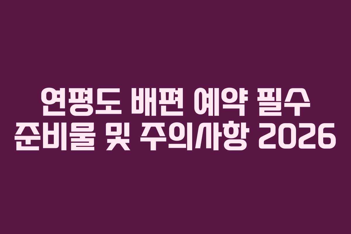 연평도 배편 예약 필수 준비물 및 주의사항 2026