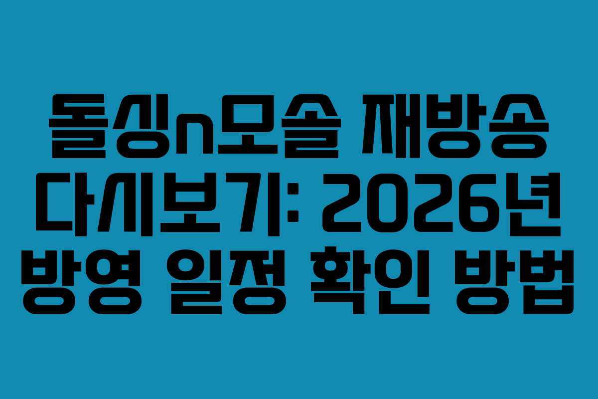 돌싱n모솔 재방송 다시보기: 2026년 방영 일정 확인 방법