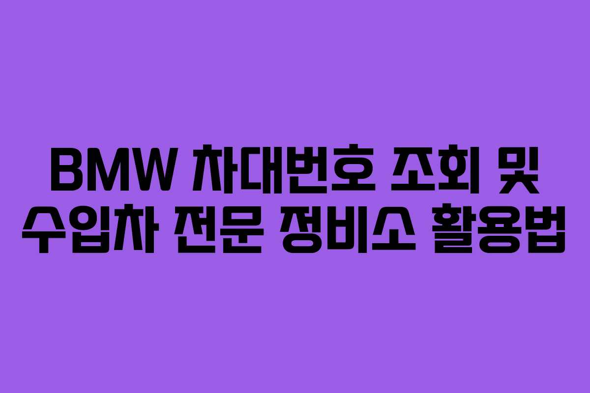BMW-차대번호-조회-및-수입차-전문-정비소-활용법