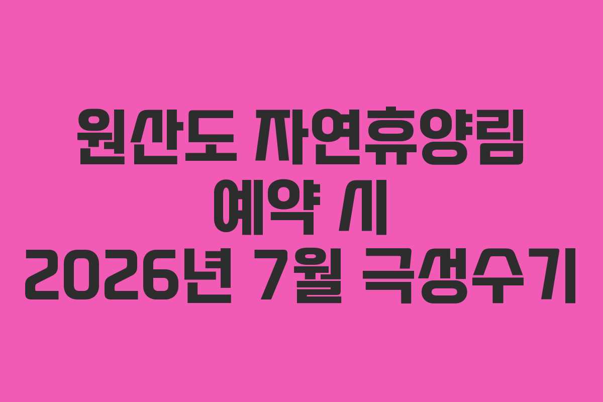 원산도-자연휴양림-예약-시-2026년-7월-극성수기