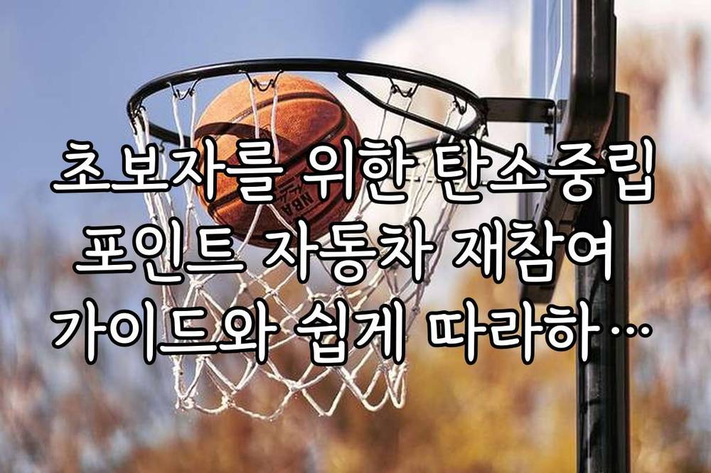 초보자를 위한 탄소중립포인트 자동차 재참여 가이드와 쉽게 따라하는 팁