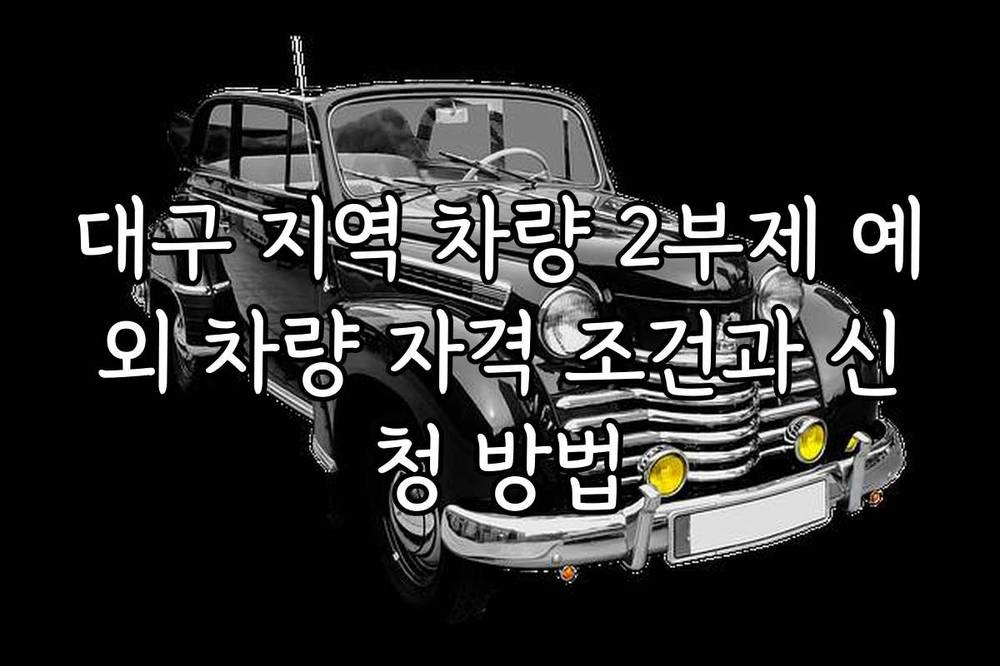 대구 지역 차량 2부제 예외 차량 자격 조건과 신청 방법