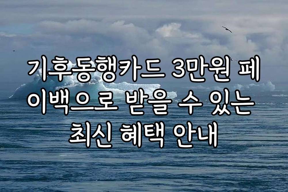 기후동행카드 3만원 페이백으로 받을 수 있는 최신 혜택 안내