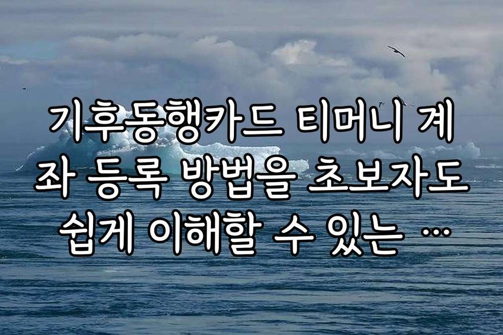 기후동행카드 티머니 계좌 등록 방법을 초보자도 쉽게 이해할 수 있는 단계별 설명