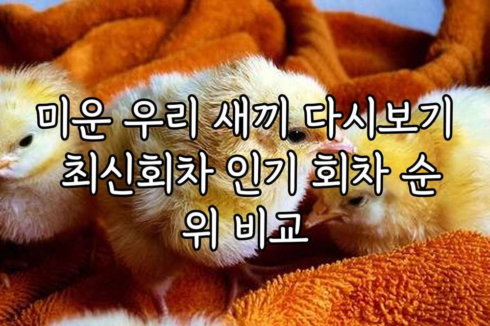 미운 우리 새끼 다시보기 최신회차 인기 회차 순위 비교