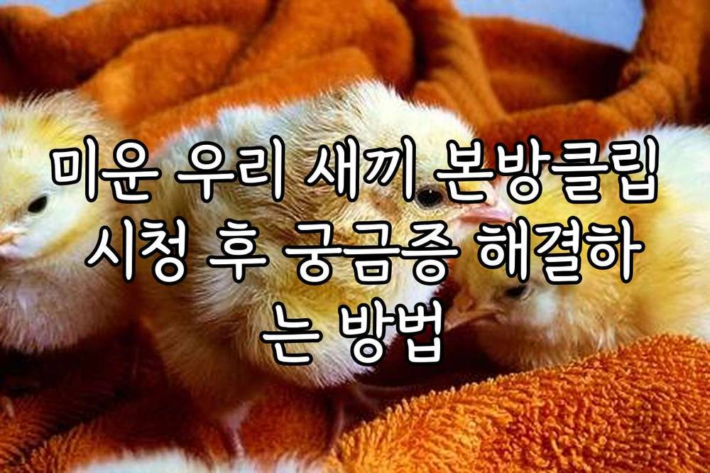 미운 우리 새끼 본방클립 시청 후 궁금증 해결하는 방법