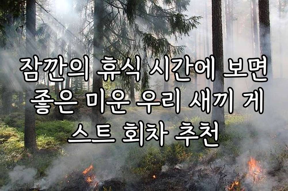 잠깐의 휴식 시간에 보면 좋은 미운 우리 새끼 게스트 회차 추천