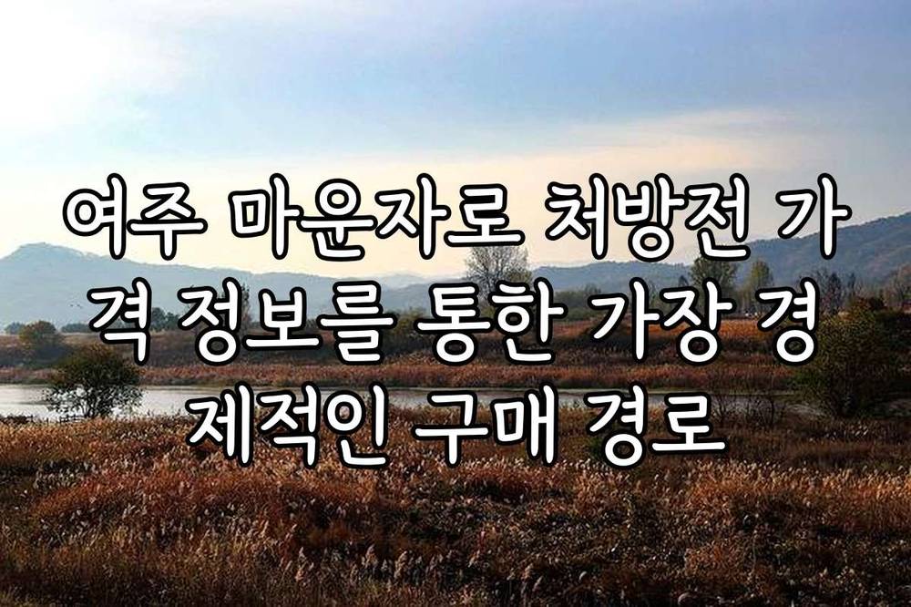 여주 마운자로 처방전 가격 정보를 통한 가장 경제적인 구매 경로