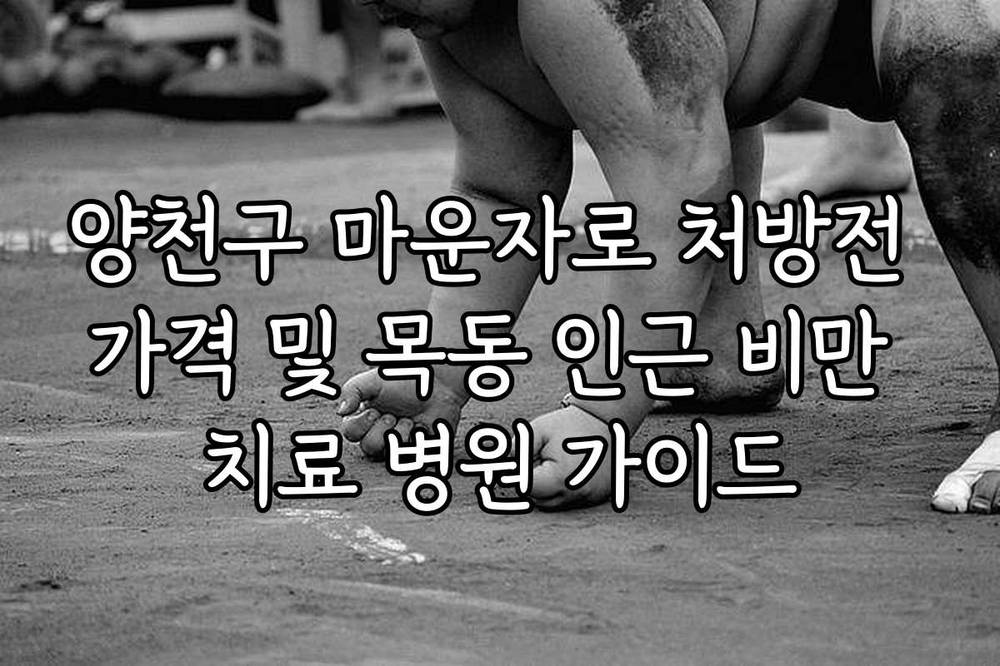 양천구 마운자로 처방전 가격 및 목동 인근 비만 치료 병원 가이드