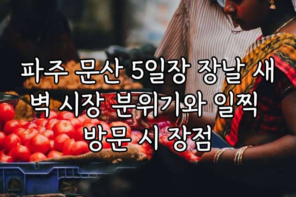 파주 문산 5일장 장날 새벽 시장 분위기와 일찍 방문 시 장점