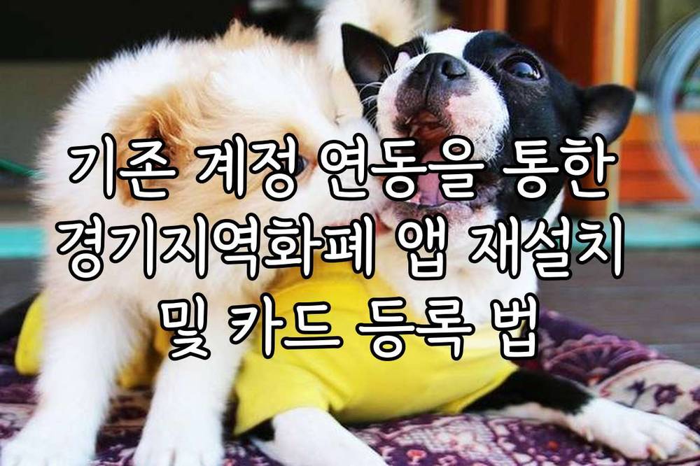 기존 계정 연동을 통한 경기지역화폐 앱 재설치 및 카드 등록 법