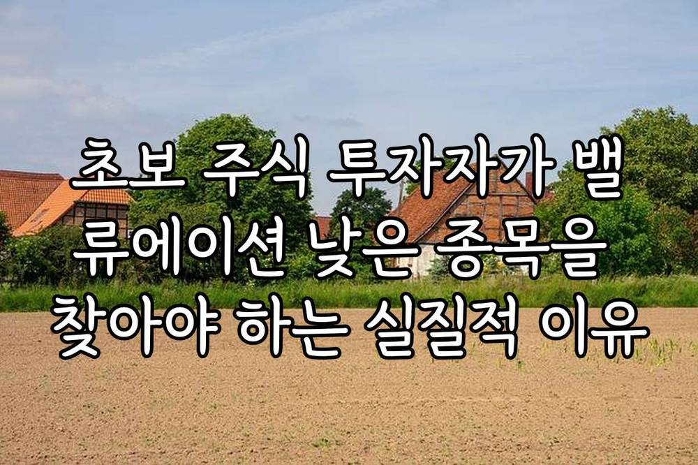 초보 주식 투자자가 밸류에이션 낮은 종목을 찾아야 하는 실질적 이유