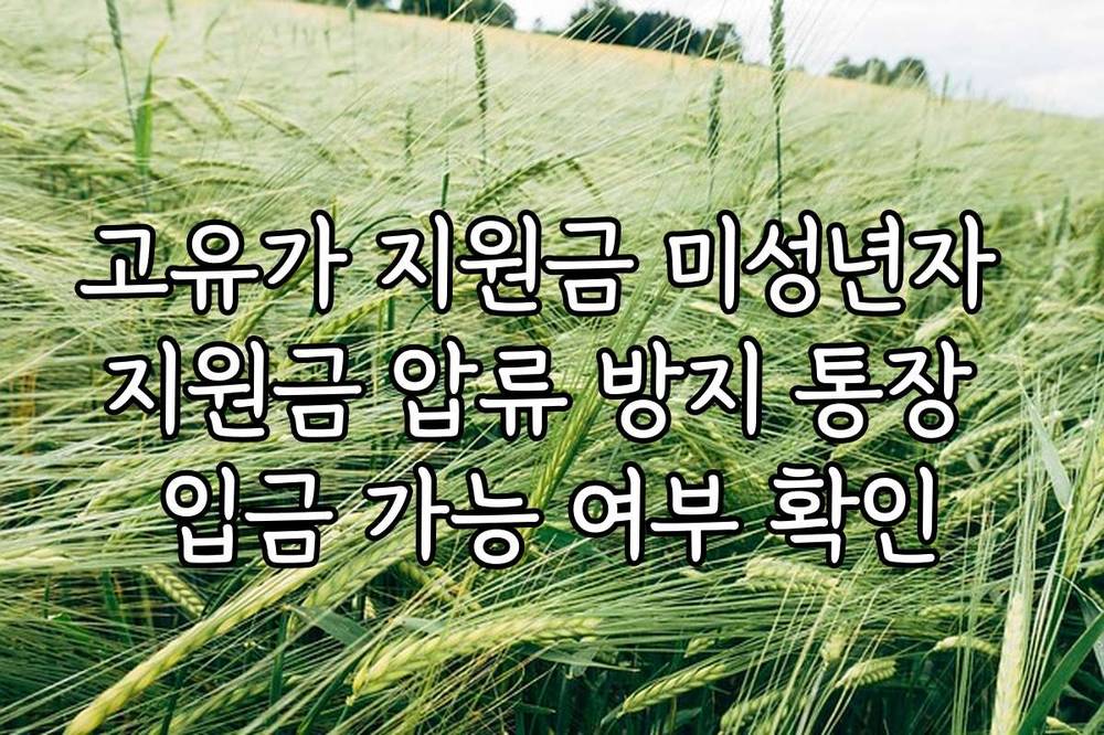 고유가 지원금 미성년자 지원금 압류 방지 통장 입금 가능 여부 확인