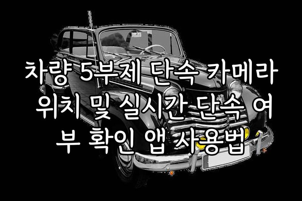 차량 5부제 단속 카메라 위치 및 실시간 단속 여부 확인 앱 사용법