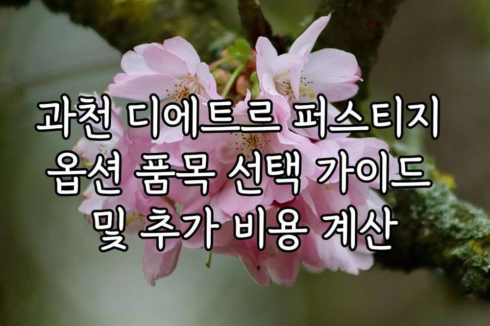 과천 디에트르 퍼스티지 옵션 품목 선택 가이드 및 추가 비용 계산