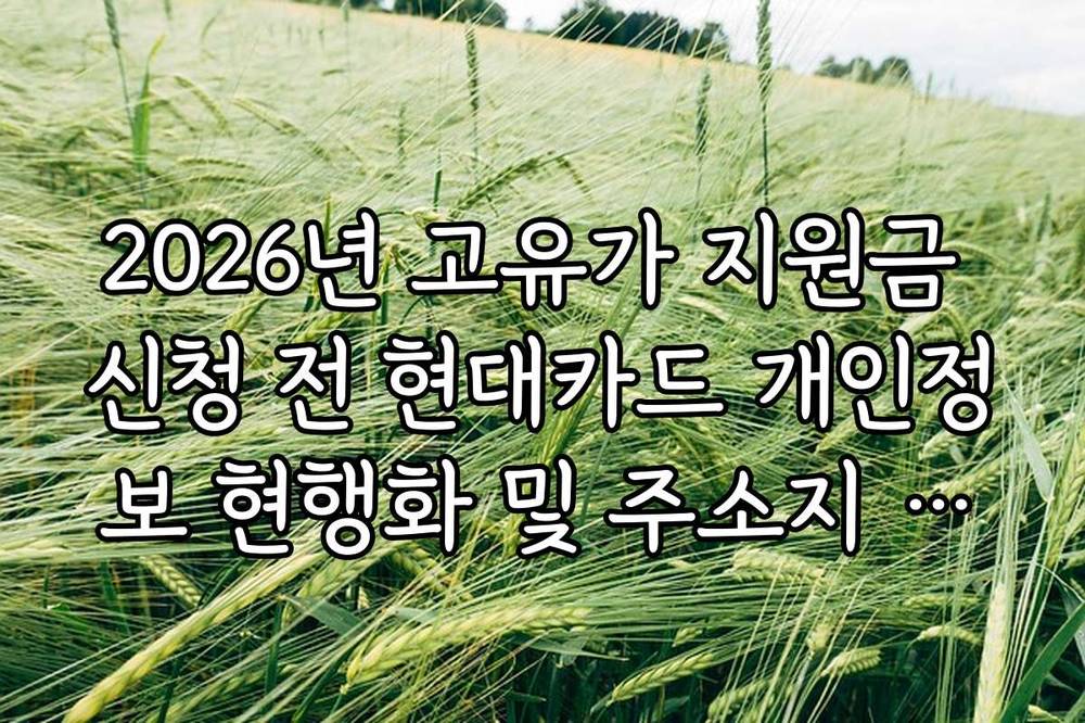 2026년 고유가 지원금 신청 전 현대카드 개인정보 현행화 및 주소지 체크