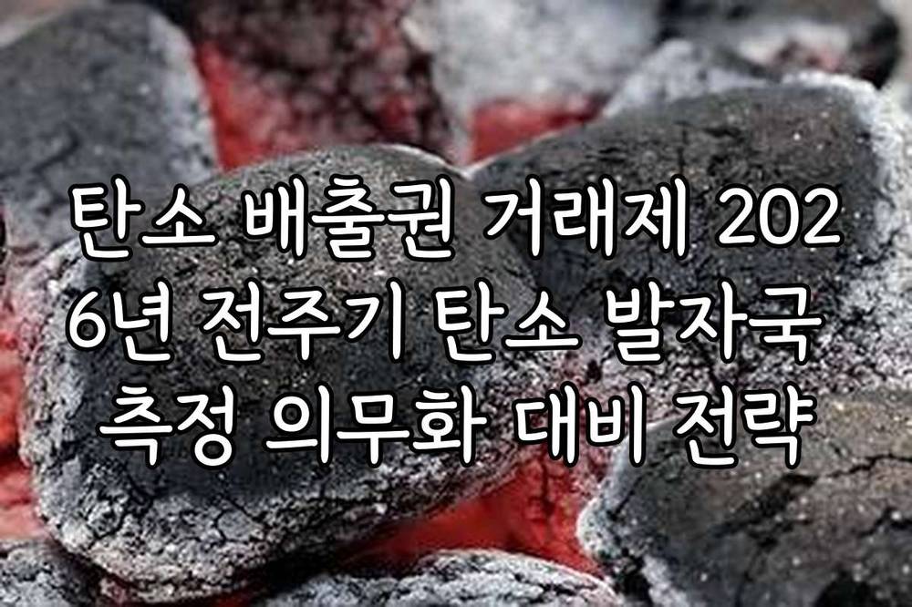 탄소 배출권 거래제 2026년 전주기 탄소 발자국 측정 의무화 대비 전략