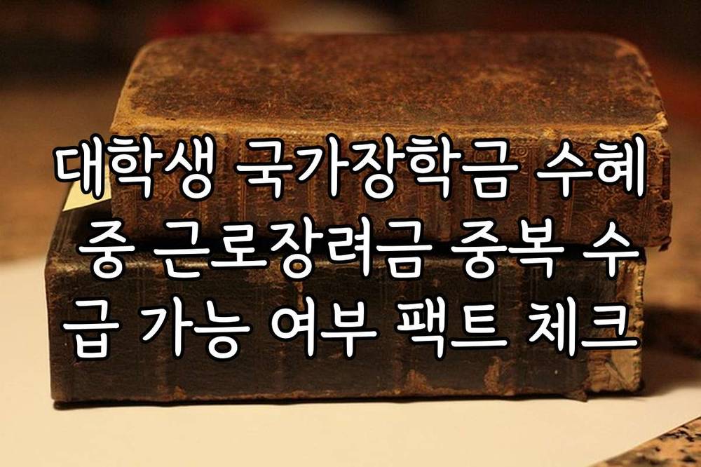 대학생 국가장학금 수혜 중 근로장려금 중복 수급 가능 여부 팩트 체크