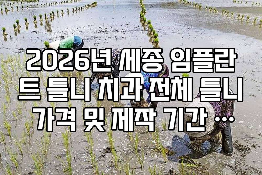 2026년 세종 임플란트 틀니 치과 전체 틀니 가격 및 제작 기간 상세 안내
